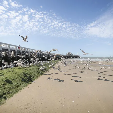 Lejlighed Centrally Located Relax And Reset By Interhome Blankenberge